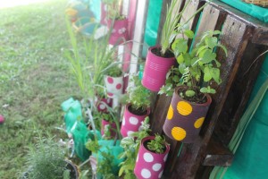 Leia mais sobre o artigo Projeto Quintais Produtivos na Semana do Meio Ambiente